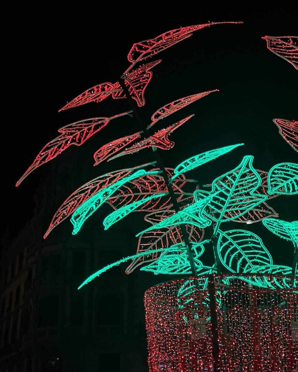 lapeceracba's tweet photo. ¡La noche más mágica del año se acerca! Después de la espectacular cabalgata de Reyes de #Madrid, te invitamos a unirte a nosotros para disfrutar de tu bebida caliente favorita 👑👑👑
----
#DiscoverMadrid #PlanesEnMadrid #CírculoDeBellasArtes #LaPeceraDelCírculo https://t.co/lwUBiPjlvy