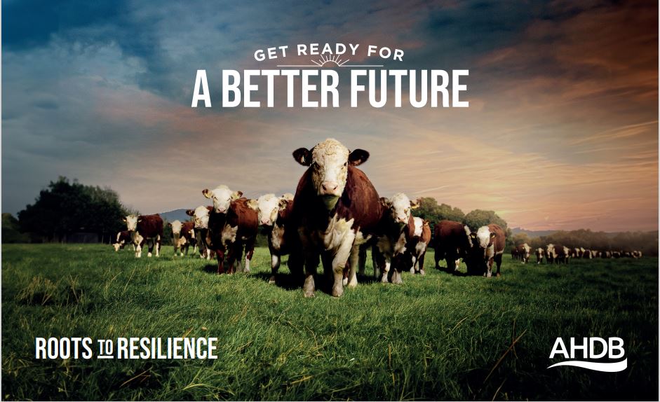 AHDB Beef & Lamb tweet media