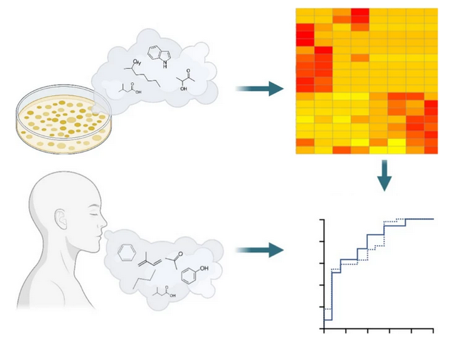 Volatilomes of human #infection
by Aoife Morrin et al much @Waqar_Ahmed88 @StephenJ_Fowler @AoifeMorrin @UoM_DIIIRM @officialuom @FBMH_UoM @insight_centre @DCUChemistry @dcuncsr @DCU @DCU_Research @DcuBiotech @unirostock @MFTnhs #volatilomes

#openaccess 
link.springer.com/article/10.100…