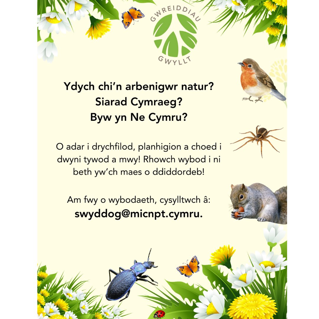 *Rhannwch os gwelwch yn dda!* 

O ddiddordeb yn y maes hyd at arbenigedd, hoffwn glywed wrthoch chi ar gyfer ein prosiect byd natur, Gwreiddiau Gwyllt! Cysylltwch gyda Jacques am fwy o fanylion: swyddog@micnpt.cymru 😀 #gwreiddiaugwyllt #micnpt #natur #bydnatur