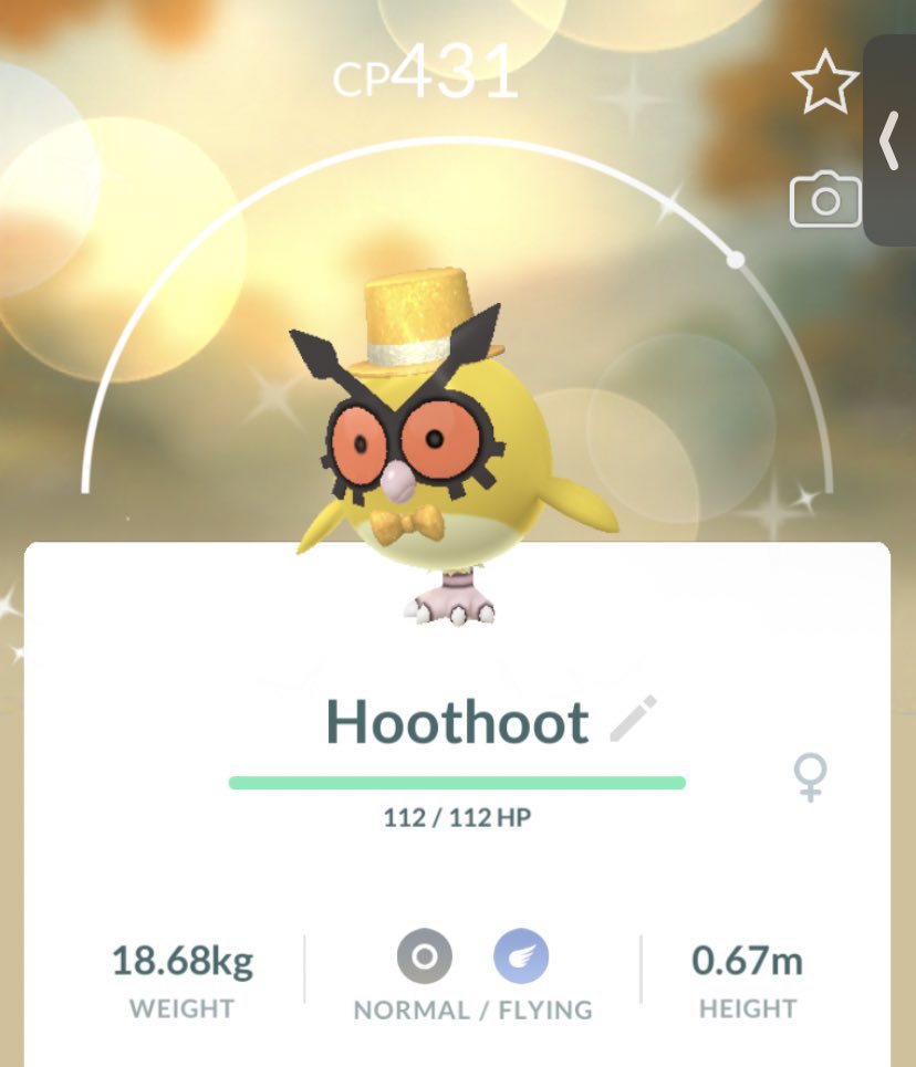 dead_sunflowers's tweet photo. my first & last shinies of 2023~ curious what everyone else’s first & last was #shinypokemon #ShinyHunting #PokemonGO #ShinyHoothoot #ShinyDiglett https://t.co/Fl6ek45t2D