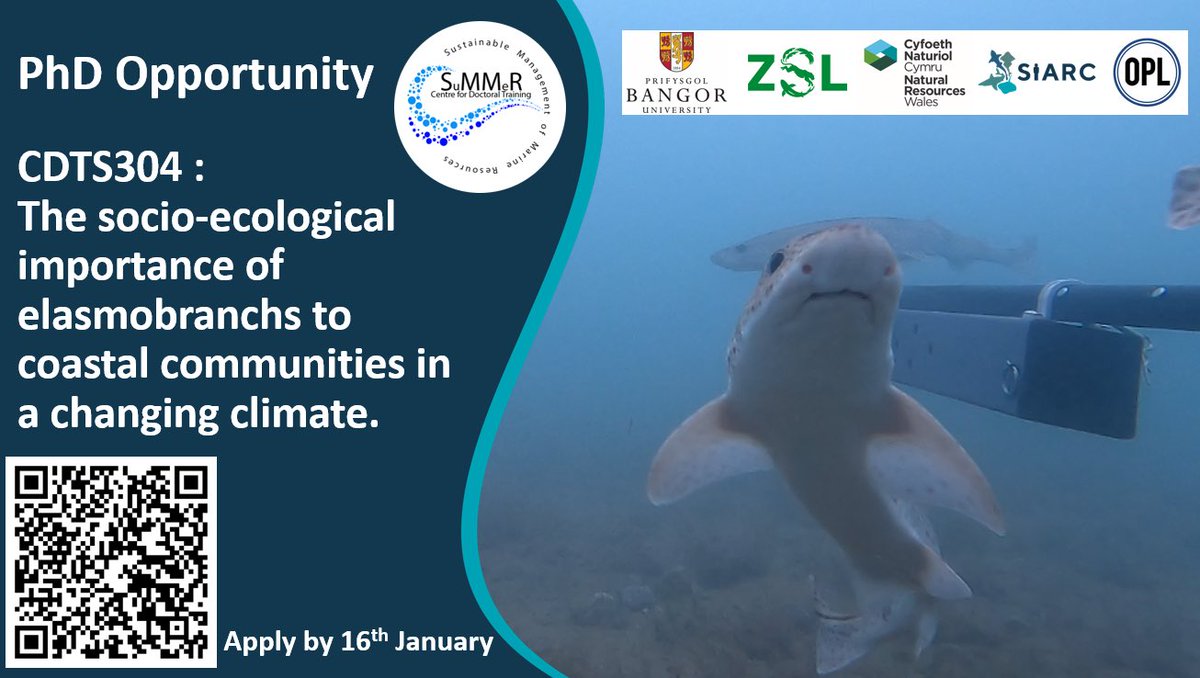 SIARC (@projectsiarc) on Twitter photo ‼️ Not long left to apply‼️
🦈 PhD Opportunity
Through <a href="/CDT_SuMMeR/">CDT SuMMeR</a> , hosted by <a href="/BangorUni/">Bangor University</a> and co-supervised by <a href="/OfficialZSL/">ZSL</a> and <a href="/NatResWales/">Cyfoeth Naturiol Cymru | Natural Resources Wales</a>
🌊 Interdisciplinary - combining #socialscience #oceanography #ecology and #climate research.
👉 plymouth.ac.uk/study/research… ‼️ Not long left to apply‼️
🦈 PhD Opportunity
Through <a href="/CDT_SuMMeR/">CDT SuMMeR</a> , hosted by <a href="/BangorUni/">Bangor University</a> and co-supervised by <a href="/OfficialZSL/">ZSL</a> and <a href="/NatResWales/">Cyfoeth Naturiol Cymru | Natural Resources Wales</a>
🌊 Interdisciplinary - combining #socialscience #oceanography #ecology and #climate research.
👉 plymouth.ac.uk/study/research…