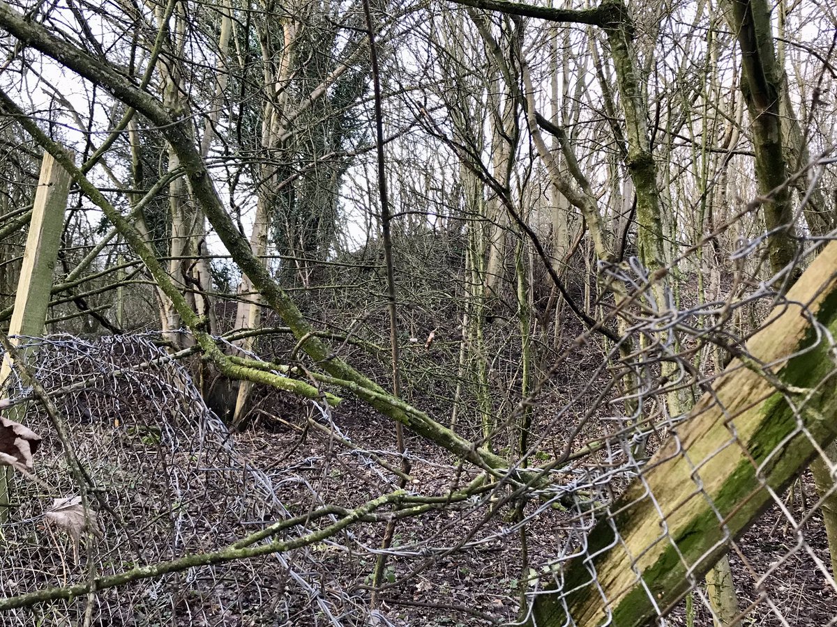 coal_legacies's tweet image. Headed northwest from the #Pinxton #canal arm #Ironville #Derbyshire to explore the post-extractive landscape of the former #Riddings Colliery evidence of unstable ground, routes of former mineral lines and a selection of #bings
#miningheritage #coal #industriallandscape #explore