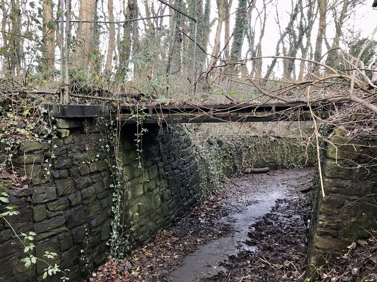 coal_legacies's tweet image. Headed northwest from the #Pinxton #canal arm #Ironville #Derbyshire to explore the post-extractive landscape of the former #Riddings Colliery evidence of unstable ground, routes of former mineral lines and a selection of #bings
#miningheritage #coal #industriallandscape #explore