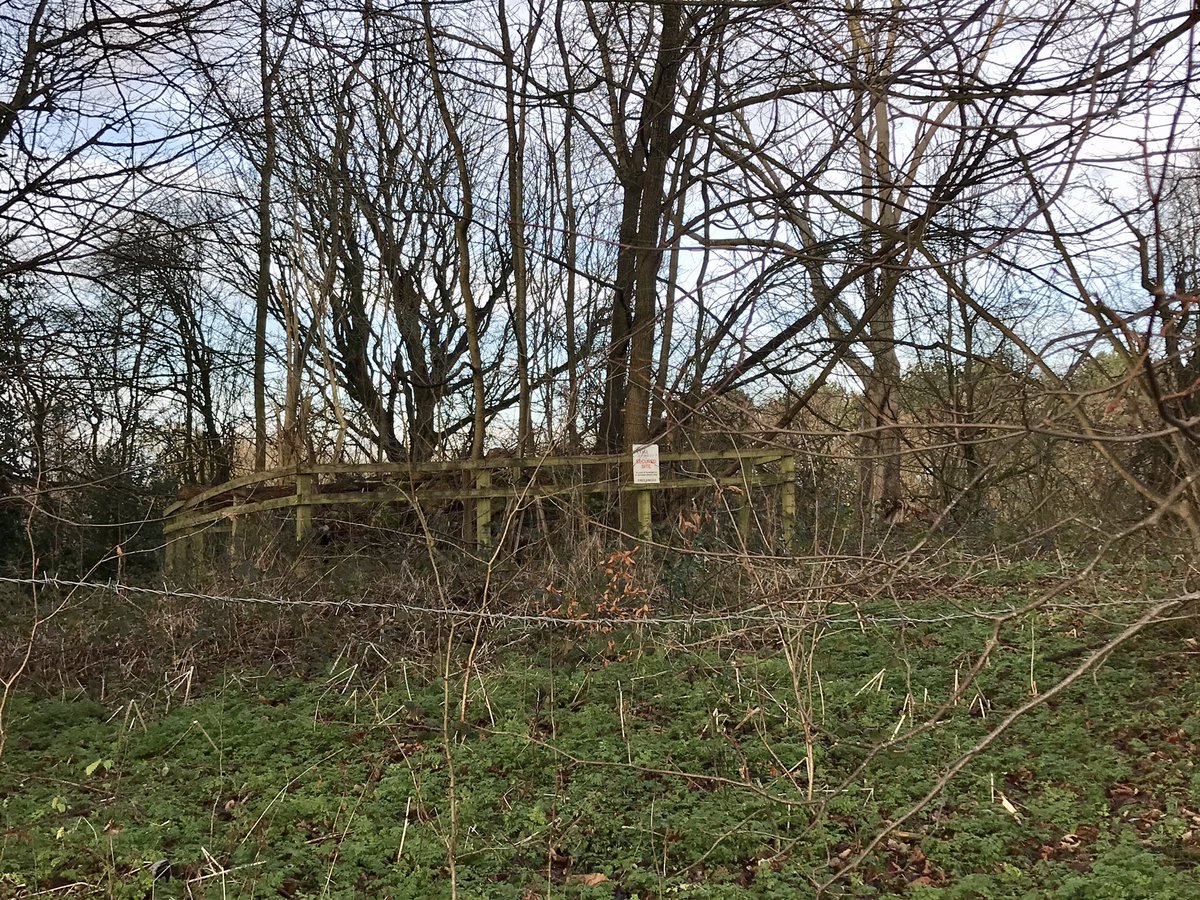 coal_legacies's tweet image. Headed northwest from the #Pinxton #canal arm #Ironville #Derbyshire to explore the post-extractive landscape of the former #Riddings Colliery evidence of unstable ground, routes of former mineral lines and a selection of #bings
#miningheritage #coal #industriallandscape #explore