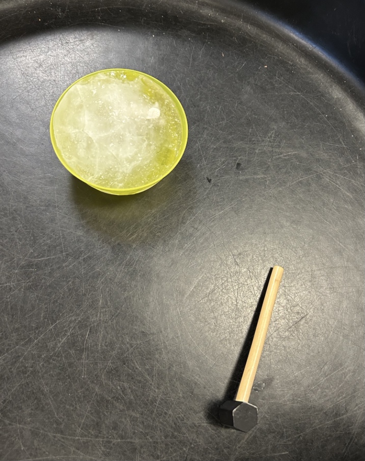 firsprimarysale's tweet image. #RecAsh Elsa accidentally froze the Arctic Animals! We predicted and voted the for quickest way to free the animals and put it to the test. #FirsScience #Teamwork #Democracy