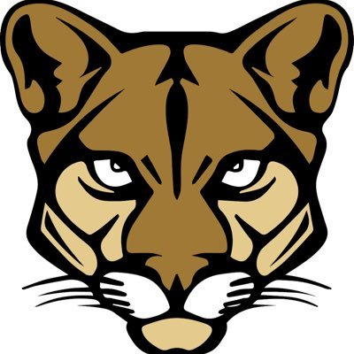 IBCA Coaches tweet media