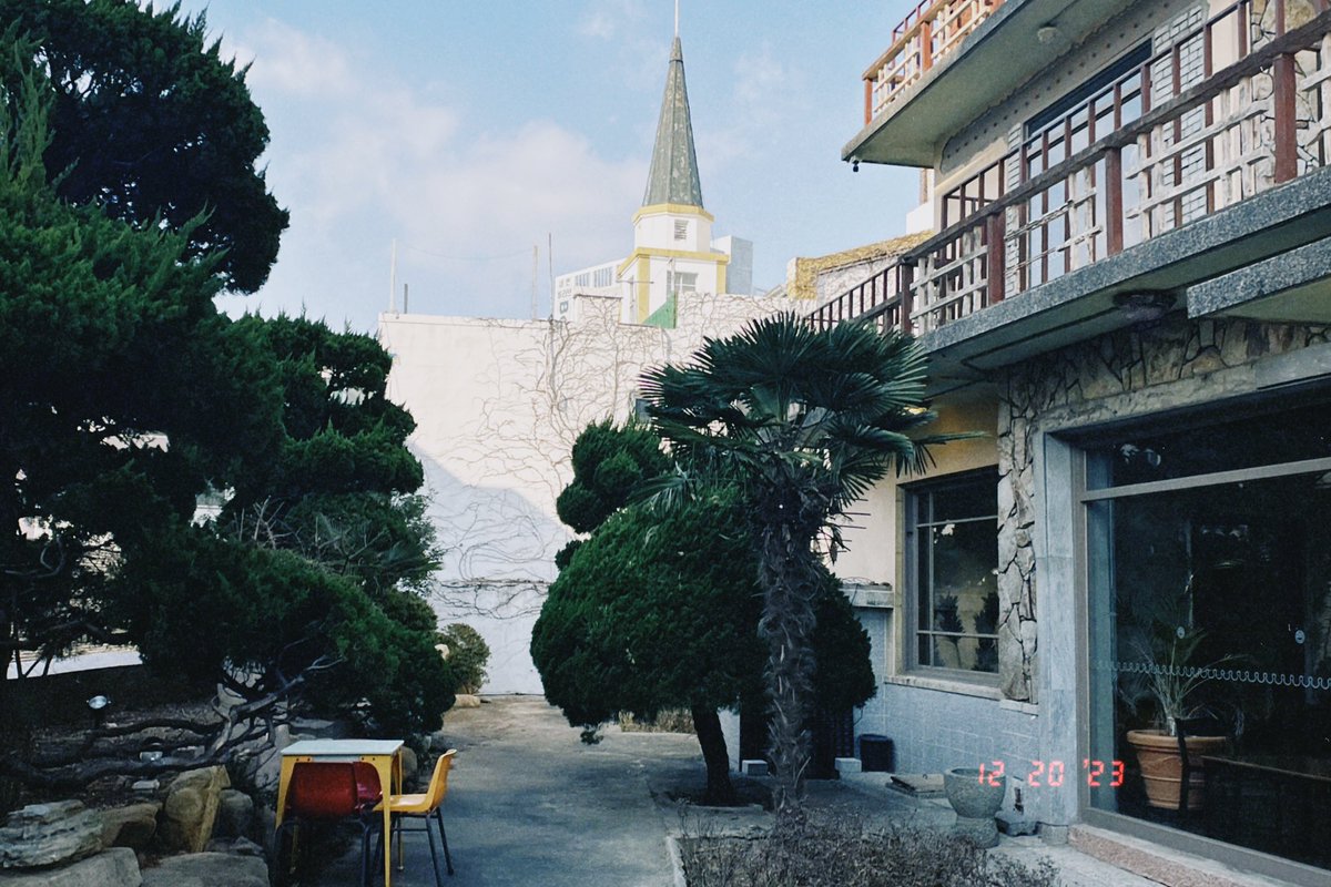 Pixi Peony Rose✨🌷 tweet media