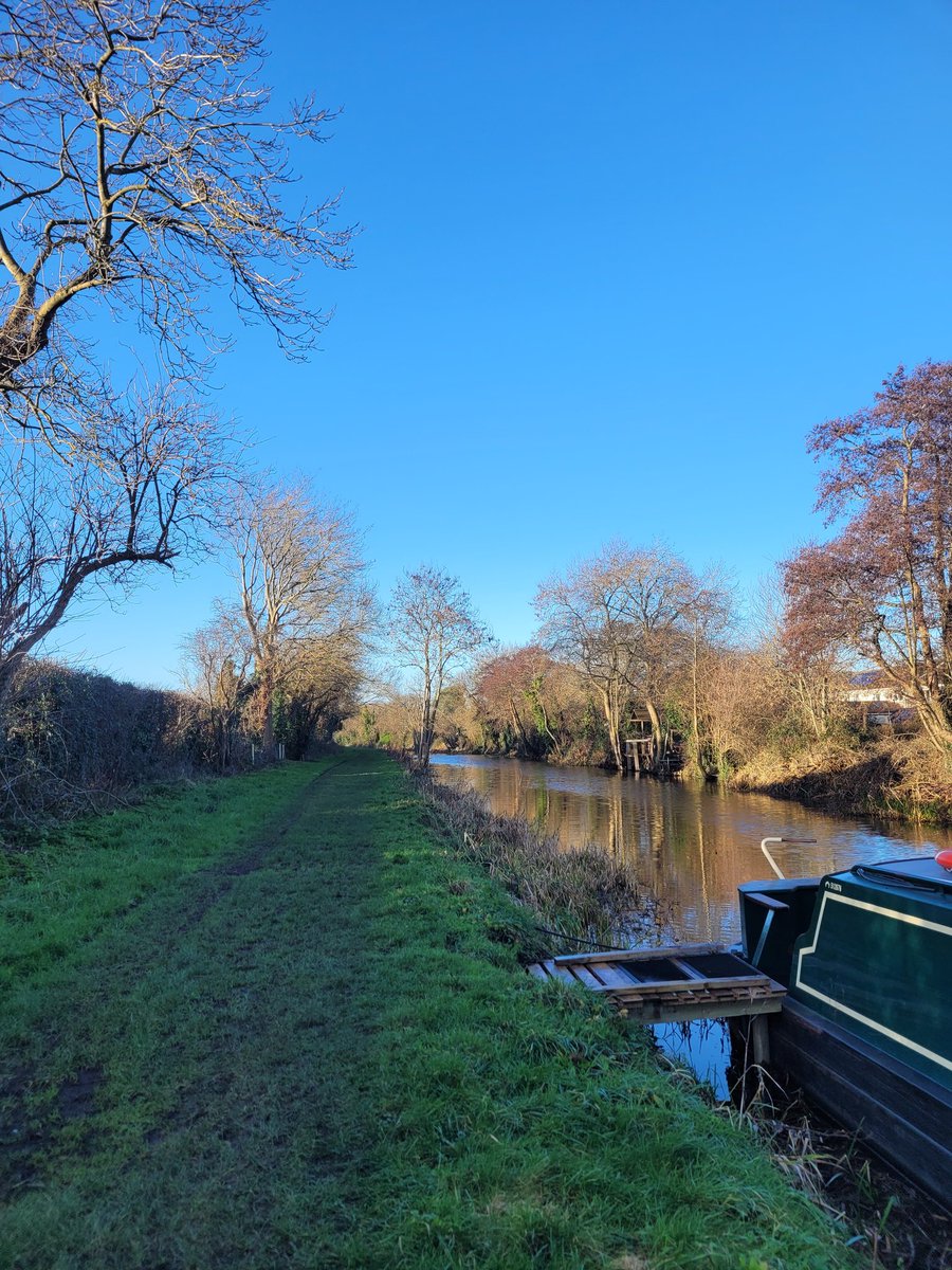 BillyLinehan's tweet photo. All calm this morning under a blue sky, walking the towpath by the Royal Canal, Castleknock, Dublin
with Milo, the Irish Terrier @JohnSimpsonNews
#deepsinking #irishterrier #dublin15 #dubw #royalcanal #greenway https://t.co/Xr4Tokp569