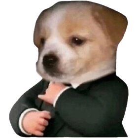 tumedichina's tweet photo. Se fue de vacaciones @FacuPeralta98 y ya no voy a tener vídeos para ver mientras como o simulo trabajar. Toca maratón de mis favs asies https://t.co/koGf4sYrHq