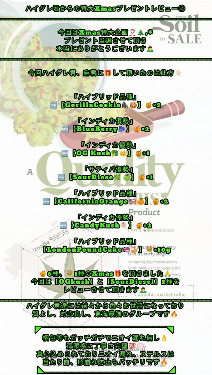 qj7YPikX3345tmm's tweet photo. ハイグレ君達からのXmas
特大プレゼントレビュー②

🎁で頂いたのは🍯×10に💐×10
サンタ過ぎます🎅🏻🎄.*

今回は🍯２品種
【OG kush】
【SourDiesel】
のレビューになります🤝

相変わらず💐🍯の質かなり良く
東海最強のグループですꉂ 🤭
⬇⬇⬇⬇⬇⬇⬇⬇⬇
@haigurekun11831 
@Makun4201 https://t.co/NCNZS18PB2