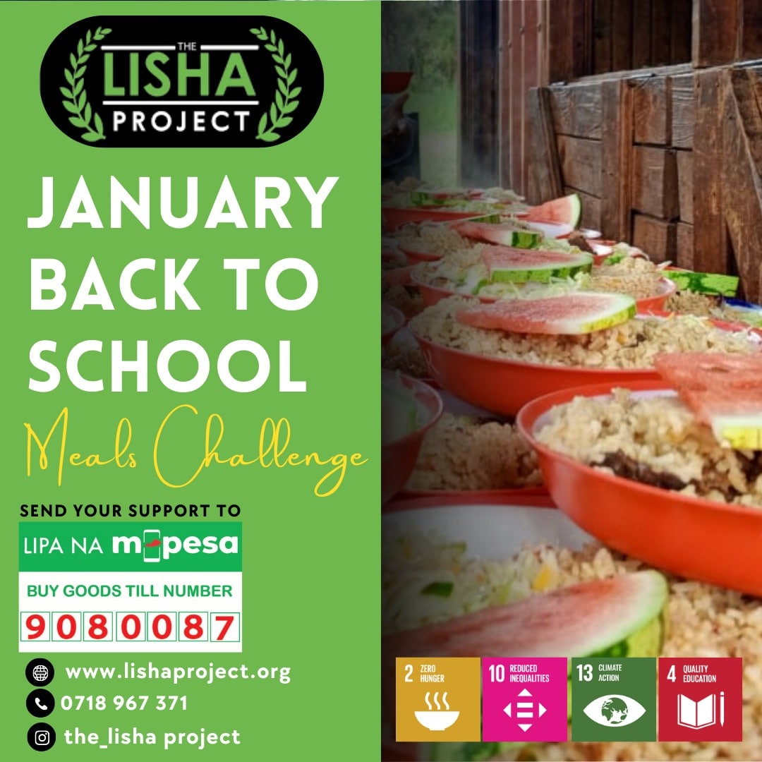 The Lisha Project tweet media