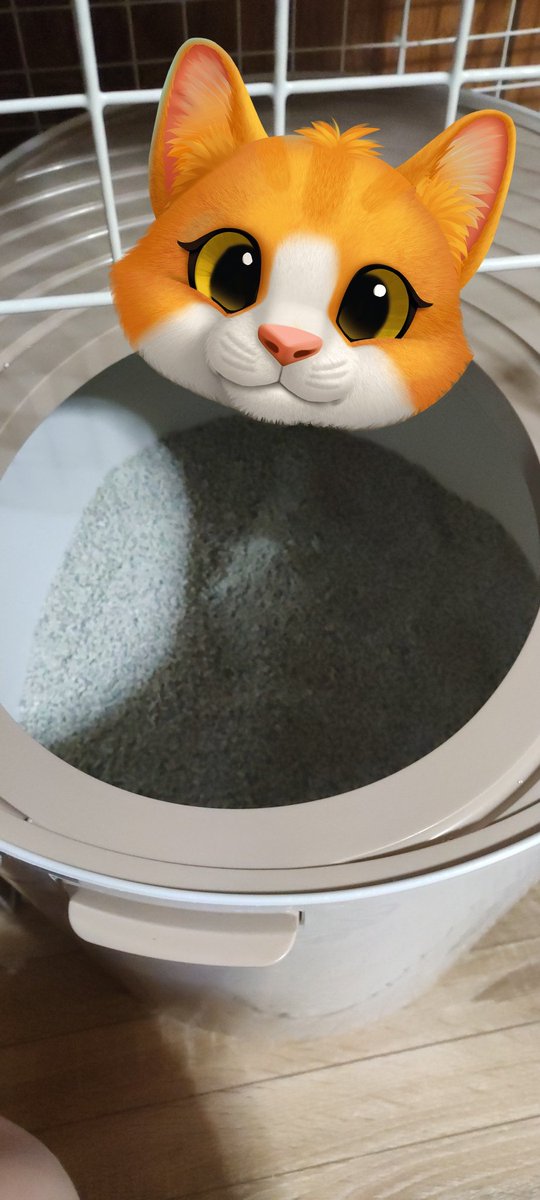 medamayakioyj's tweet photo. 猫様のおトイレと砂新しくしたらちゃんと埋めてくれる様になってる🙄ライオンのネコ砂とエバークリーン混ぜるといい感じ☺️あとおトイレは上から入るタイプ。砂落としあるから部屋にばら撒くことが減った気がする

 #エバークリーン https://t.co/mLSEwfTTsw