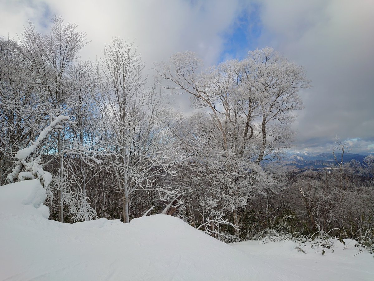 Coltpython0928's tweet image. あけおめございましたというくらいで足りるか
ことよろですがね