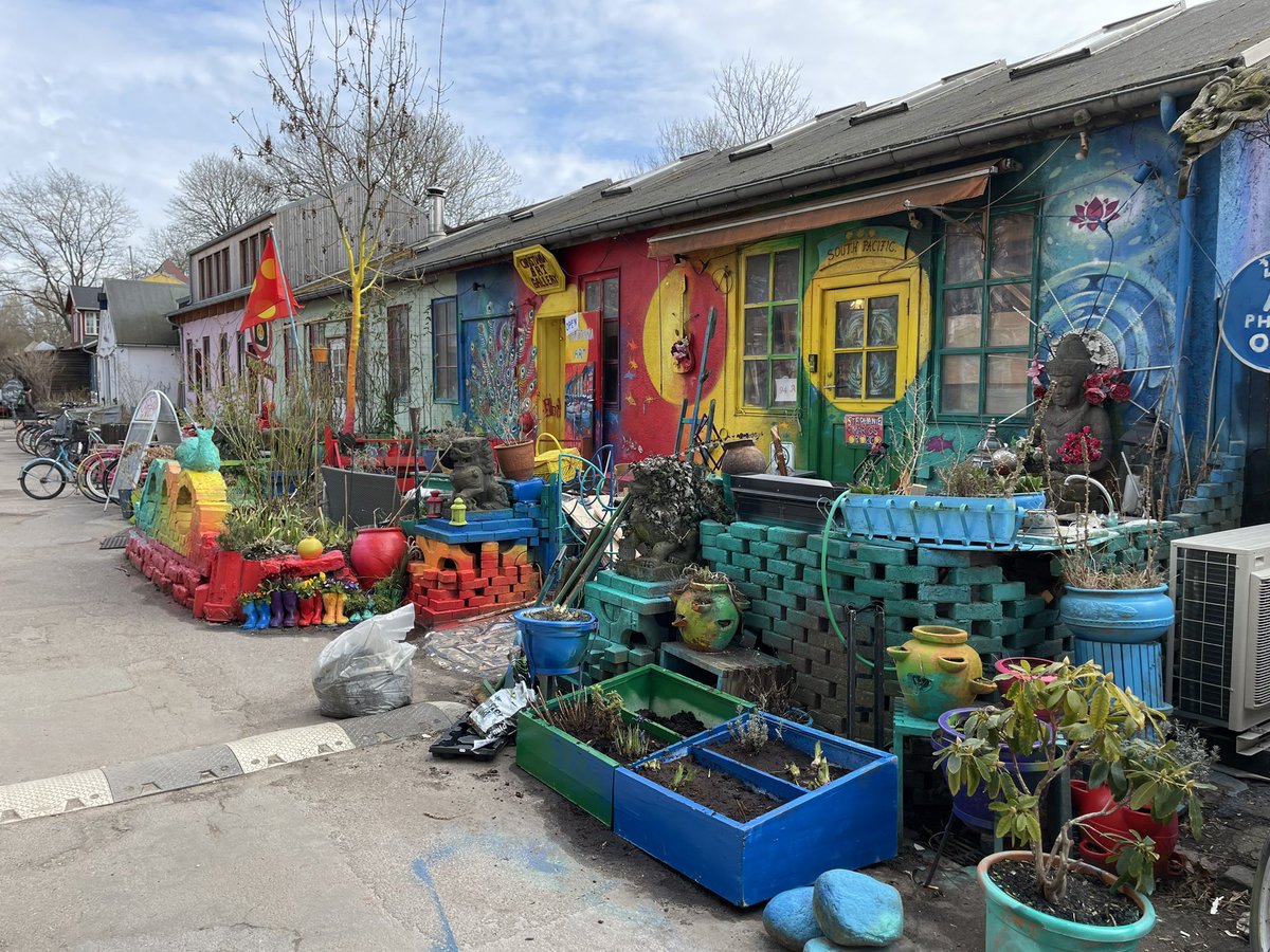 Adam McIvor 🏳️🌈 tweet media