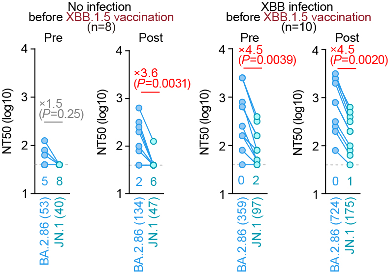 SystemsVirology's tweet image. Furthermore, JN.1 shows a robust resistance to monovalent XBB.1.5 vaccine sera🔥 These suggest that JN.1 is one of the most immune-evading variants to date. S:L455S can contributes to increased immune evasion, which partly explains the increased Re of JN.1. 7/7
