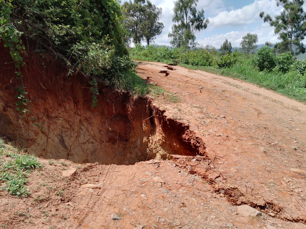 Penhalonga youth Development trust tweet media