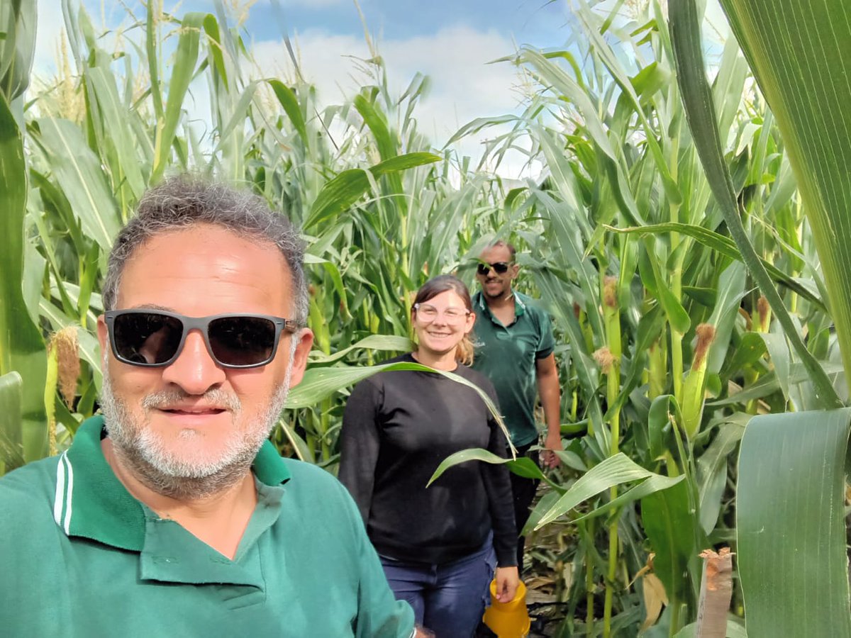 cm_rossetti's tweet photo. Recorriendo ensayos de maices #Nord, y aplicando #Powerfoil. Trabajo en equipo. @IngFlorBarberis @ALZ_Agro https://t.co/Tq4IuvV2mK