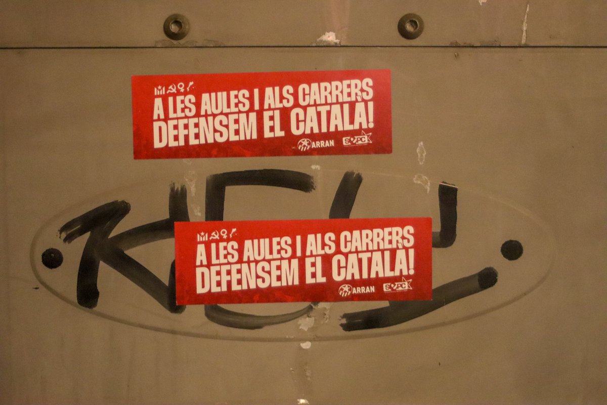 #31D || Recull fotogràfic de la manifestació del 30 de desembre, en motiu de la Diada de Mallorca.