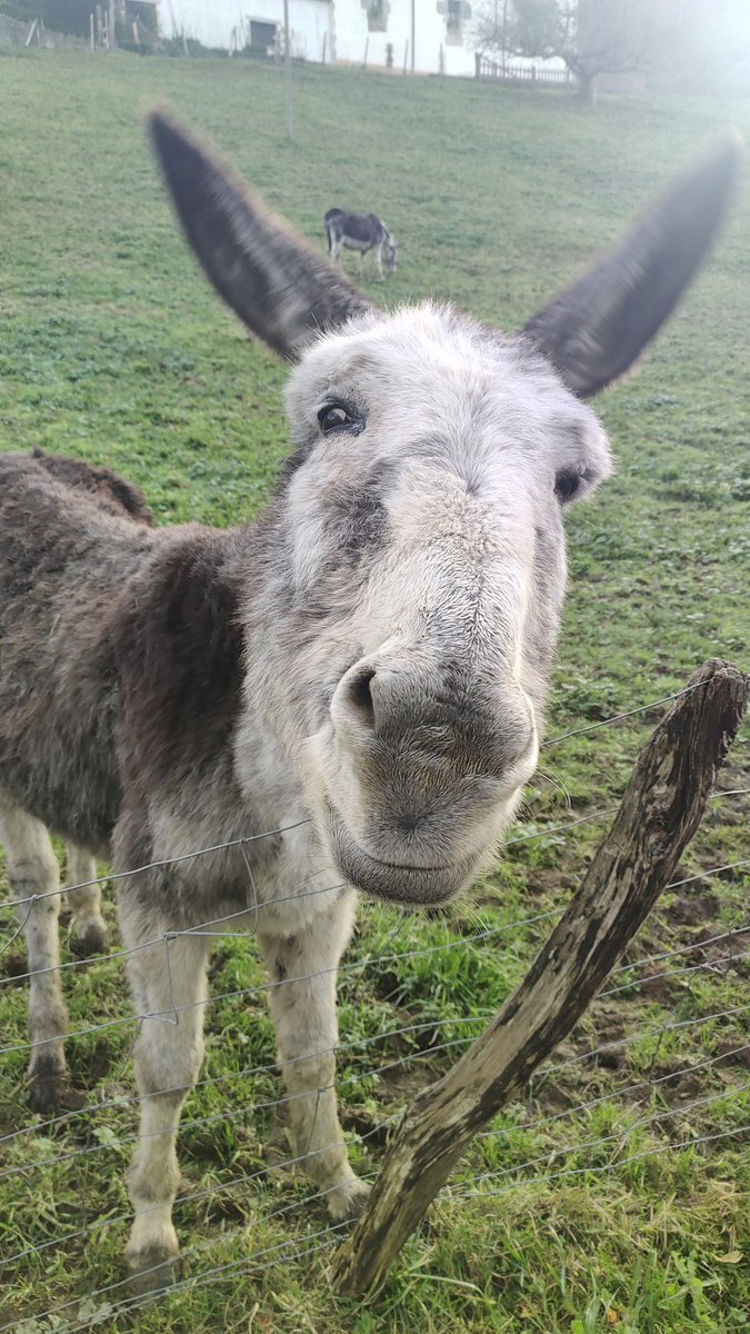 *Jondar* (@jondarplata) on Twitter photo 