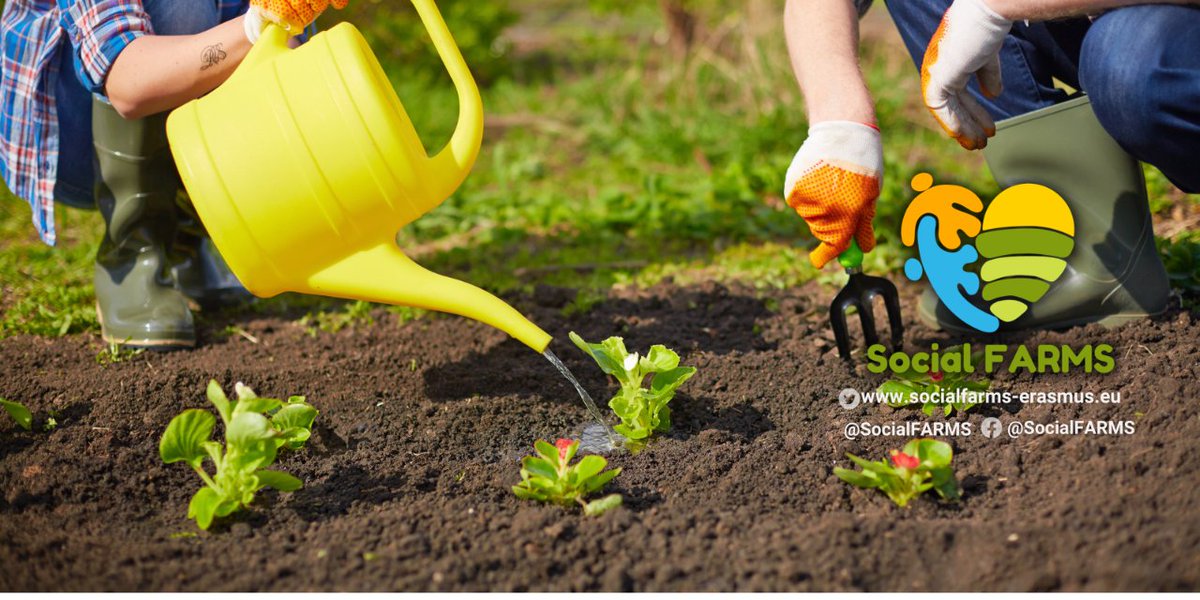 Embrace the new year with fresh possibilities! ✨ Explore opportunities to kickstart social farm activities and cultivate meaningful connections in 2️⃣0️⃣2️⃣4️⃣. Let's make it a year of growth, community, and green initiatives! 🌱 
Visit our website 🌐 socialfarms-erasmus.eu