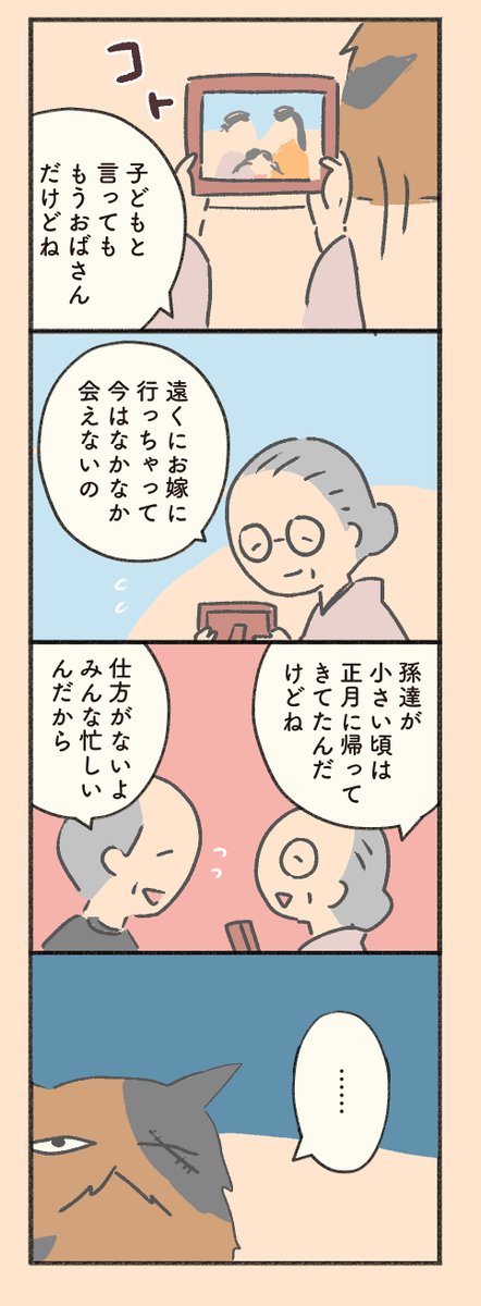 野良猫ボスと老夫婦のお話(2/5)