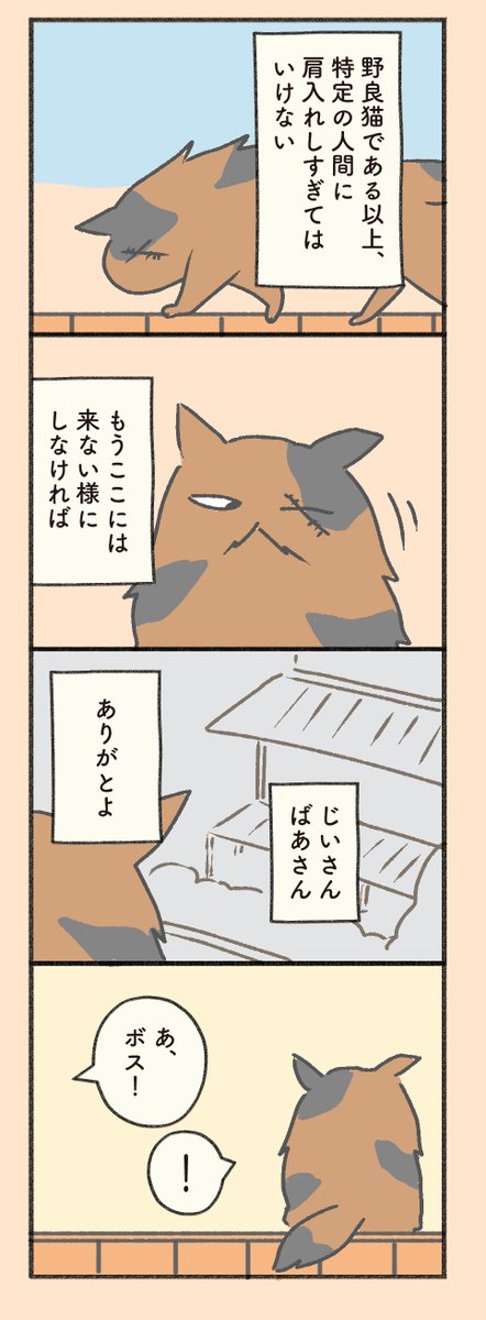 野良猫ボスと老夫婦のお話(3/5)