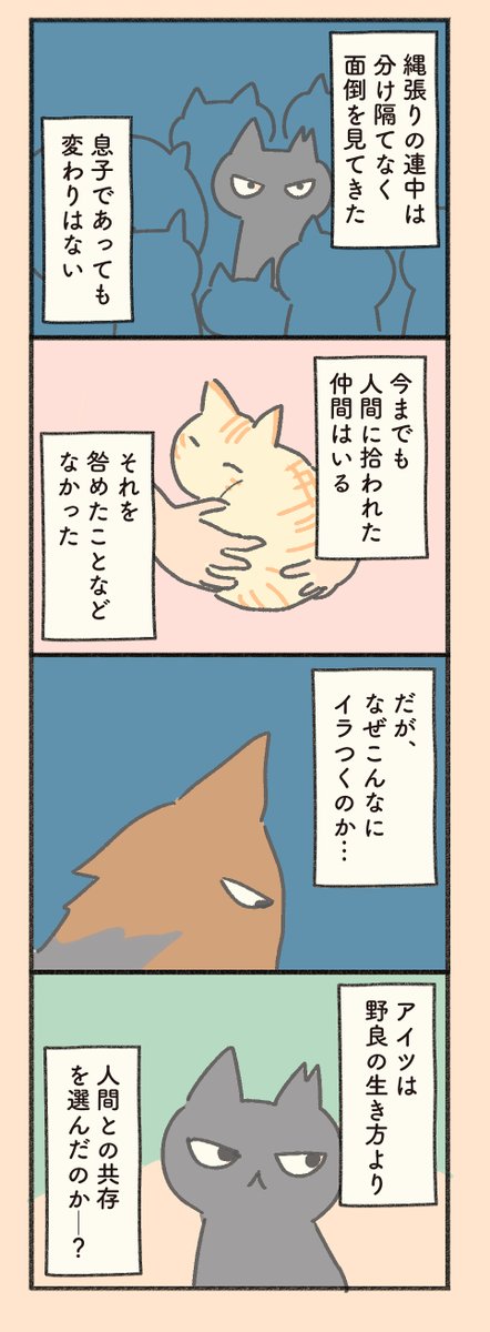 野良猫ボスと老夫婦のお話(4/5)