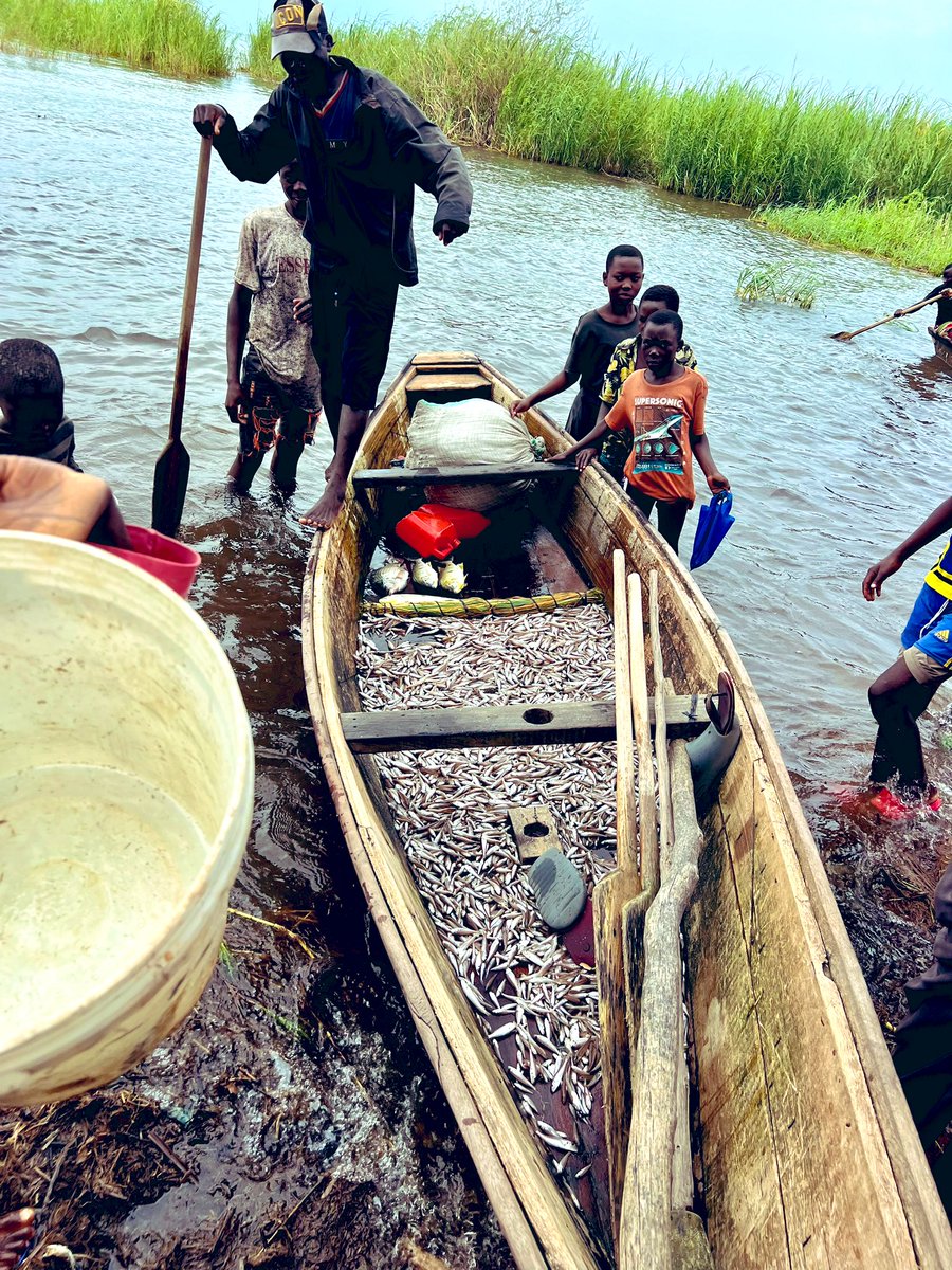 Athman_Sungura's tweet photo. Licha ya Utamu wa #Kuhe na thamani yake, uvuvi wake bado unatumia zana na mbinu duni na za kizamani. Kuna haja na fursa kubwa ya kuendeleza na kuwekeza katika uzalishaji, usambazaji na uvuaji wa Kuhe, Ngege, Nungi, Sangara, Singa na Kavungwe. #VisitKigoma #InvestInKigoma https://t.co/oLW8TUKWds