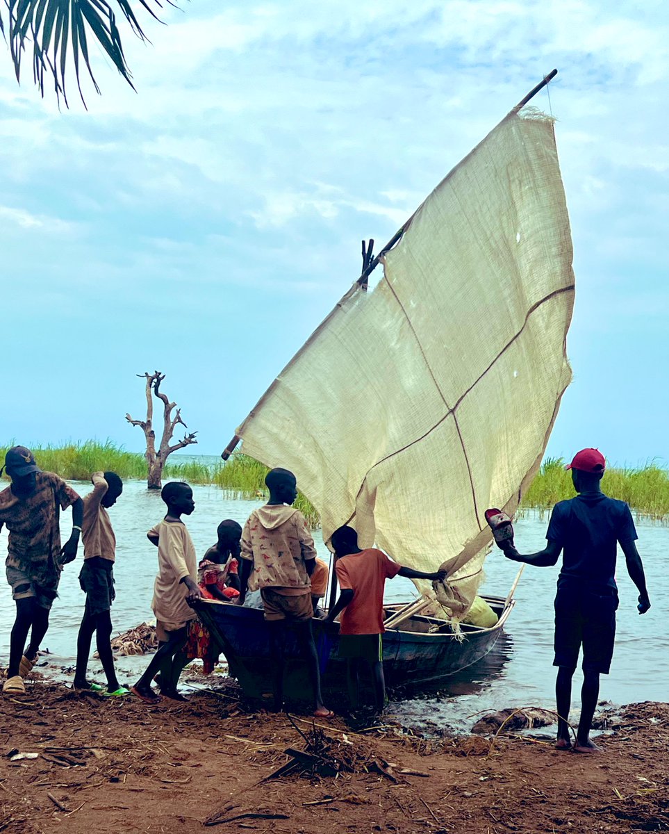 Athman_Sungura's tweet photo. Licha ya Utamu wa #Kuhe na thamani yake, uvuvi wake bado unatumia zana na mbinu duni na za kizamani. Kuna haja na fursa kubwa ya kuendeleza na kuwekeza katika uzalishaji, usambazaji na uvuaji wa Kuhe, Ngege, Nungi, Sangara, Singa na Kavungwe. #VisitKigoma #InvestInKigoma https://t.co/oLW8TUKWds