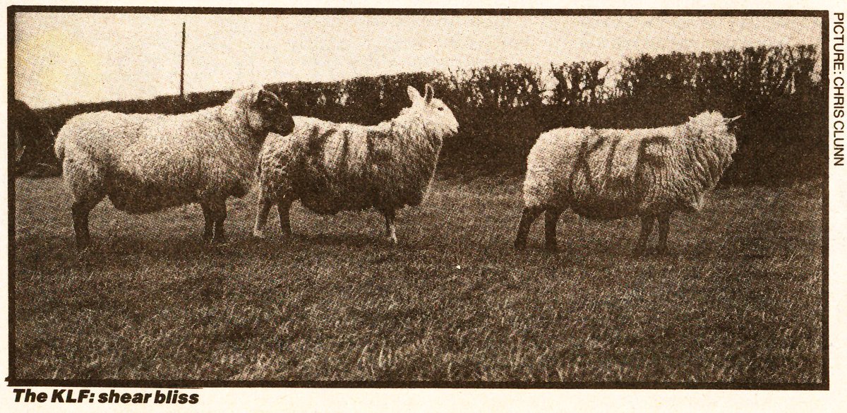 Excellent @MauvaisTravail pour un podcast espiègle et énergique sur l'histoire de #KLF et les exploits tordus de Cauty &amp; Drummond... un grand merci pour les larges extraits lus de Score378 et vivement la suite!
