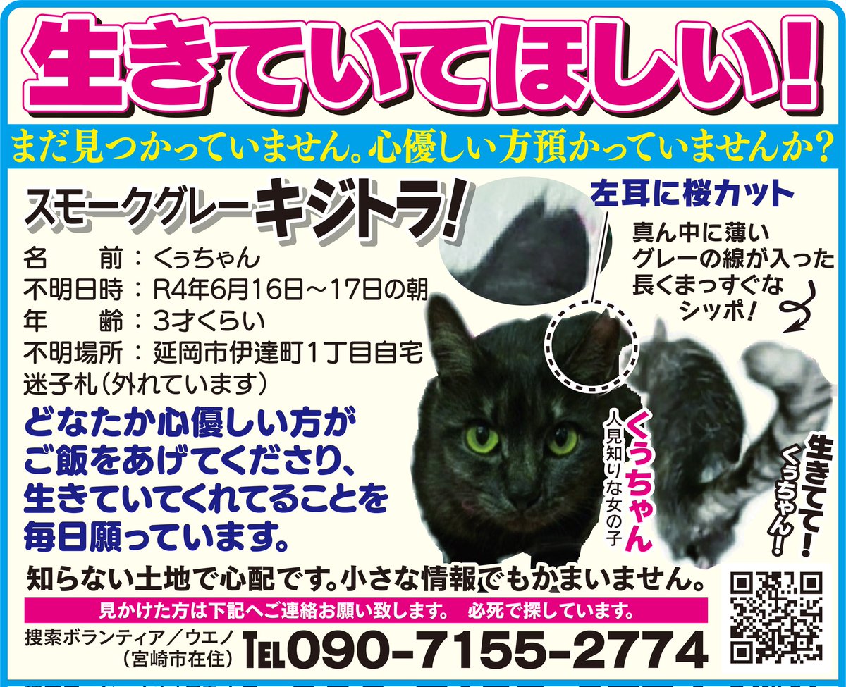 龍脈の精髄 ― クラスター 「聖域を生む結晶の調和」 宮崎県産 保護猫活動支援 GC_iSgxboAAYVi-.jpg