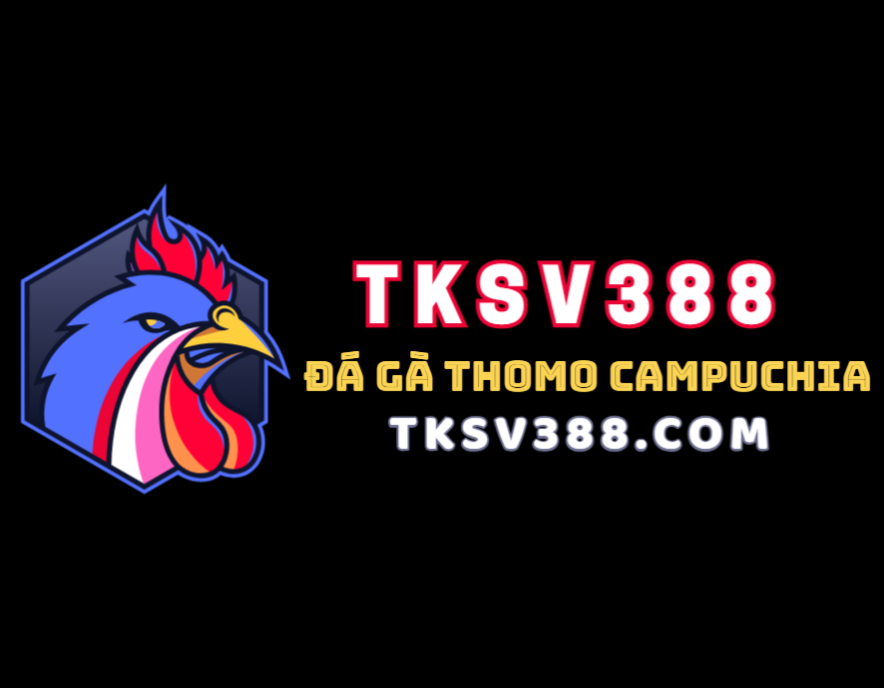 Đá gà TKSV388 – trang Web đá gà trực tuyến uy tín nhất Viêt Nam
