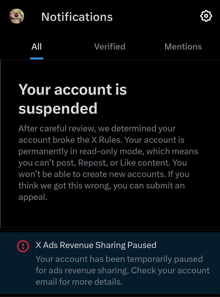 Not Shitpost Ben tweet media