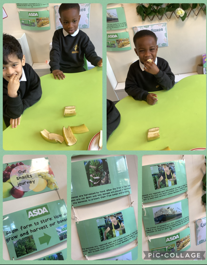 Carlton_MillsPS's tweet photo. Reception enjoyed learning about the journey of a banana this morning whilst enjoying their snack! Thank you @asda for the information. The children were fascinated! #RealPeople #RealPlaces #Reallearning #UnderstandingTheWorld 🍌🚢🛒 https://t.co/DpinuxuTpI