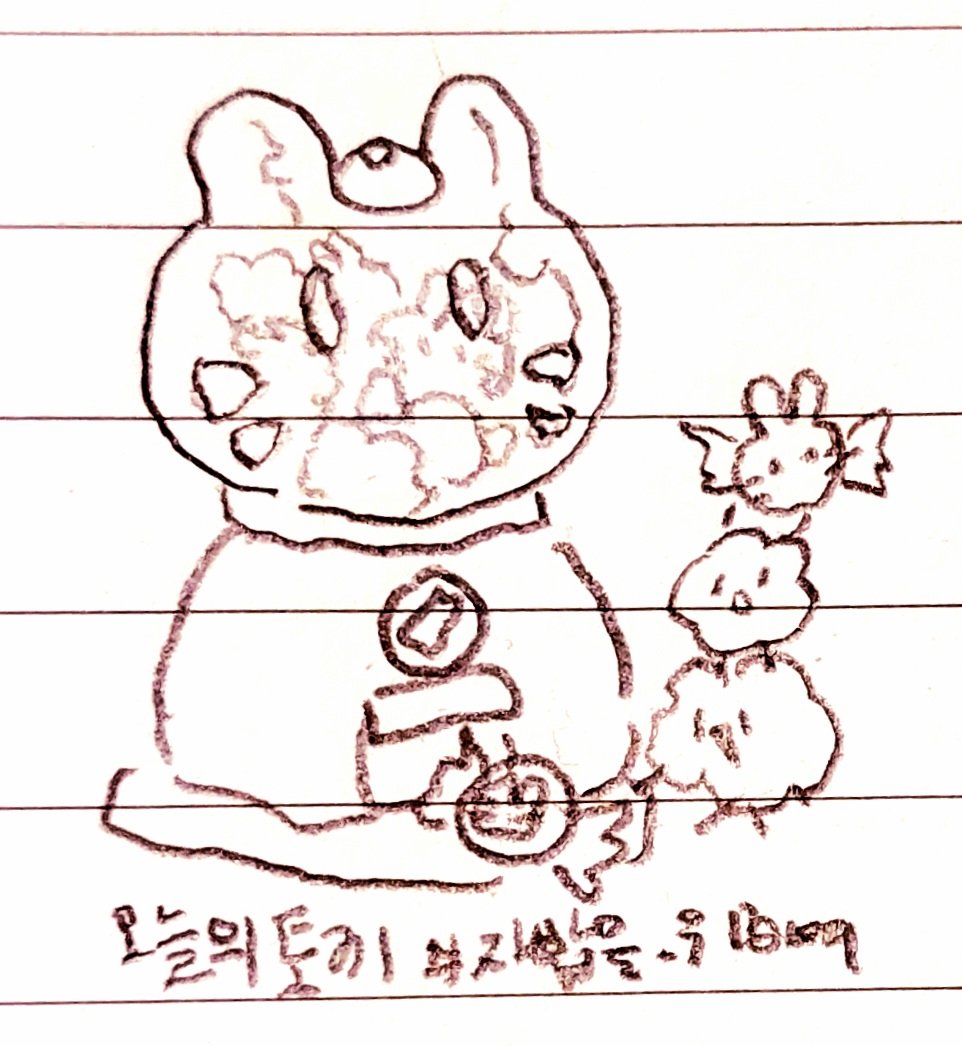 오늘의 토끼 tweet media