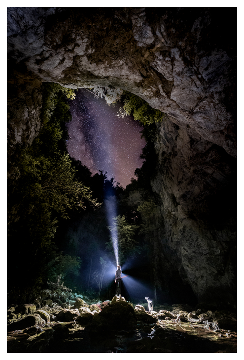 In the December 2023 LifeWatch Newsletter issue the photo of the month was featured from our colleague Žan Kafol from LifeWatch Slovenia, who won the National Geographic 2023 photo contest for the second year in a row.
tchr-zcmp.campaign-view.eu/ua/viewinbrows…