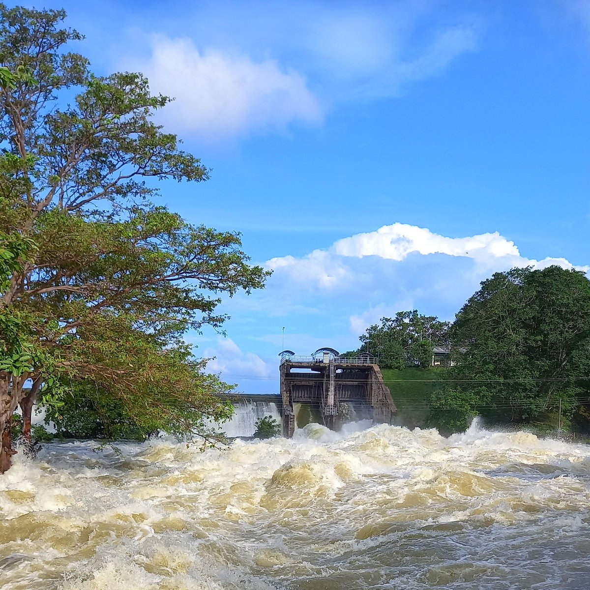 KeechBeech's tweet photo. Spill gates - Kalawewa

#reservoir #srilanka #rain #overflow #29thdec23 https://t.co/BN2O2F3qSn