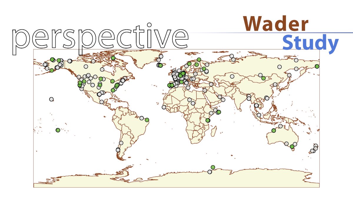 Conserving wader tracking data for the future: Introducing the Global Wader project by @Luscinia_joshua waderstudygroup.org/article/17628/ #waders #shorebirds #ornithology #openaccess