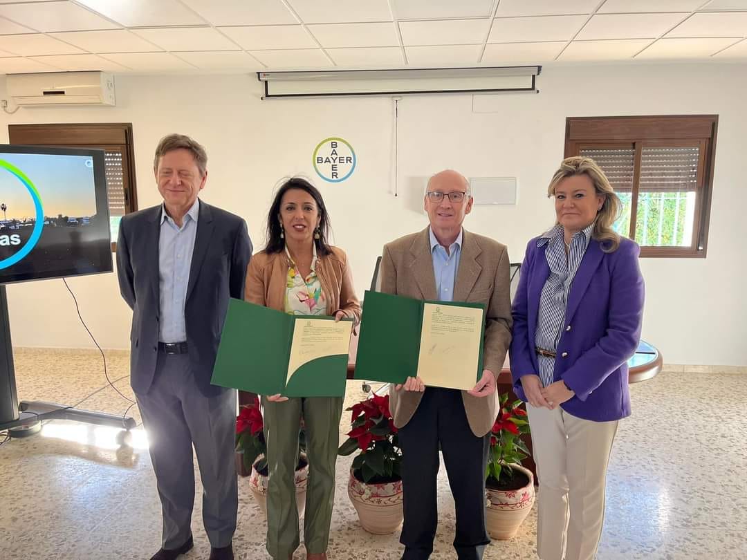 🤝<a href="/IfapaJunta/">IFAPA</a>  y <a href="/Bayer4CropsES/">Bayer Crop Science España</a>  colaborarán en la investigación e innovación para el sector agrícola de Andalucía. ✅

↗️El acuerdo suscrito pretende dinamizar la participación de empresas del sector en proyectos de I+D+i y mejorar su competitividad. 

🔗 lajunta.es/4k7yv
