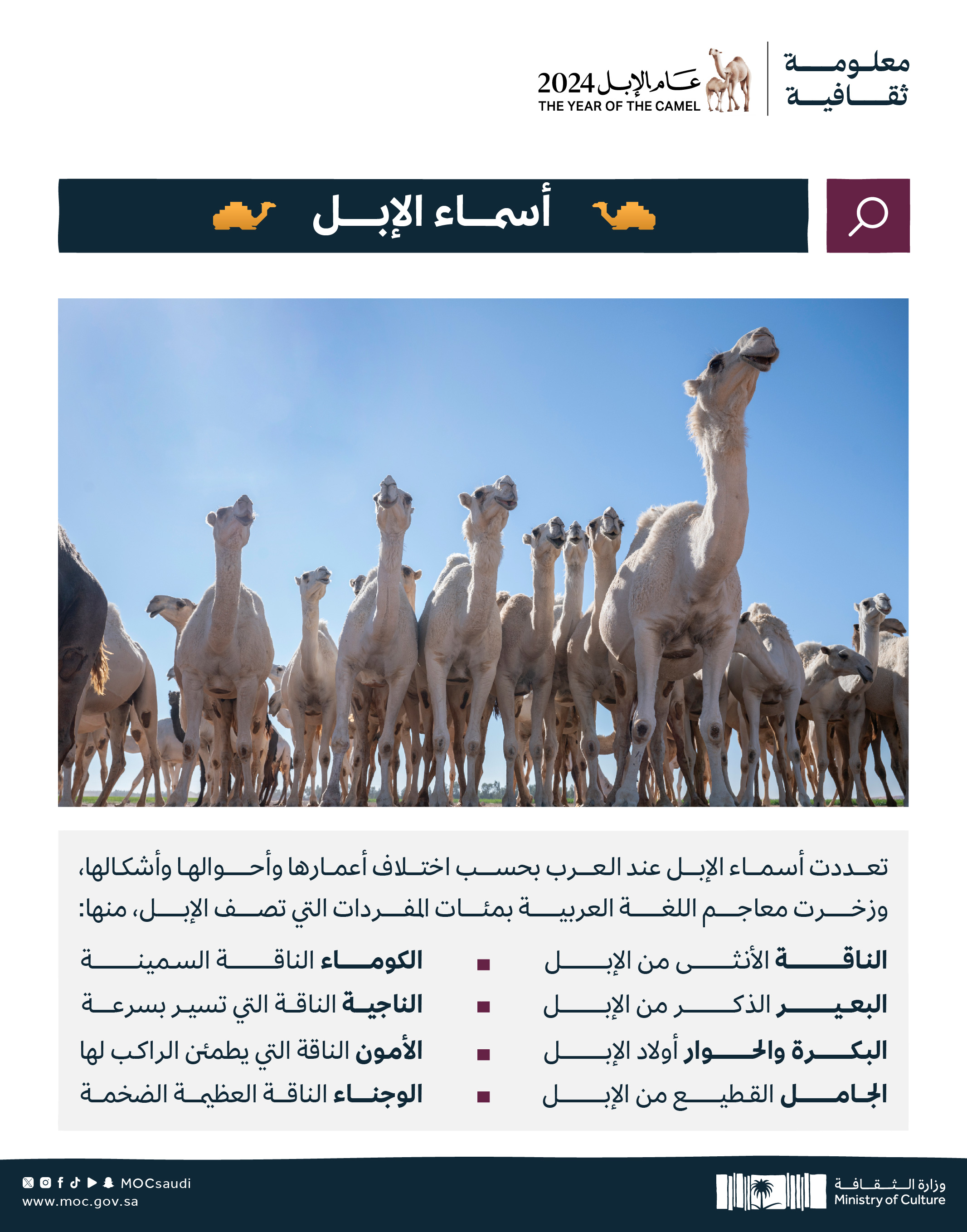 الصورة