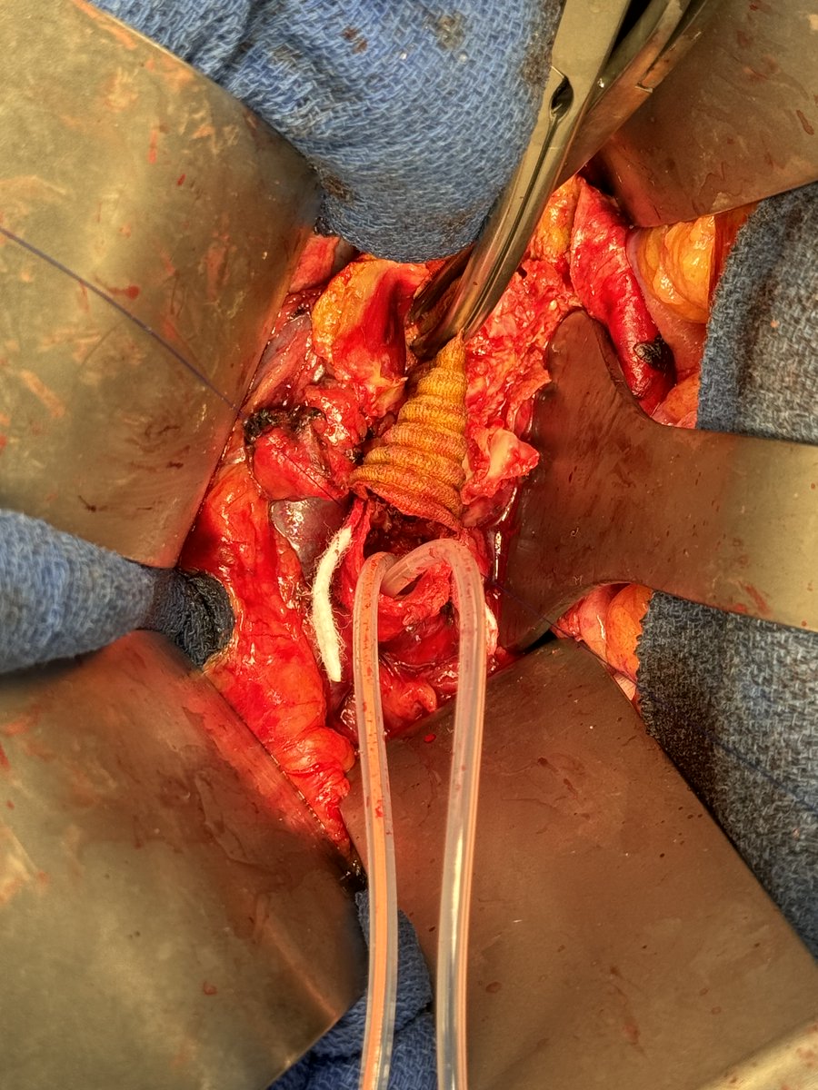 Xavier Berard tweet media