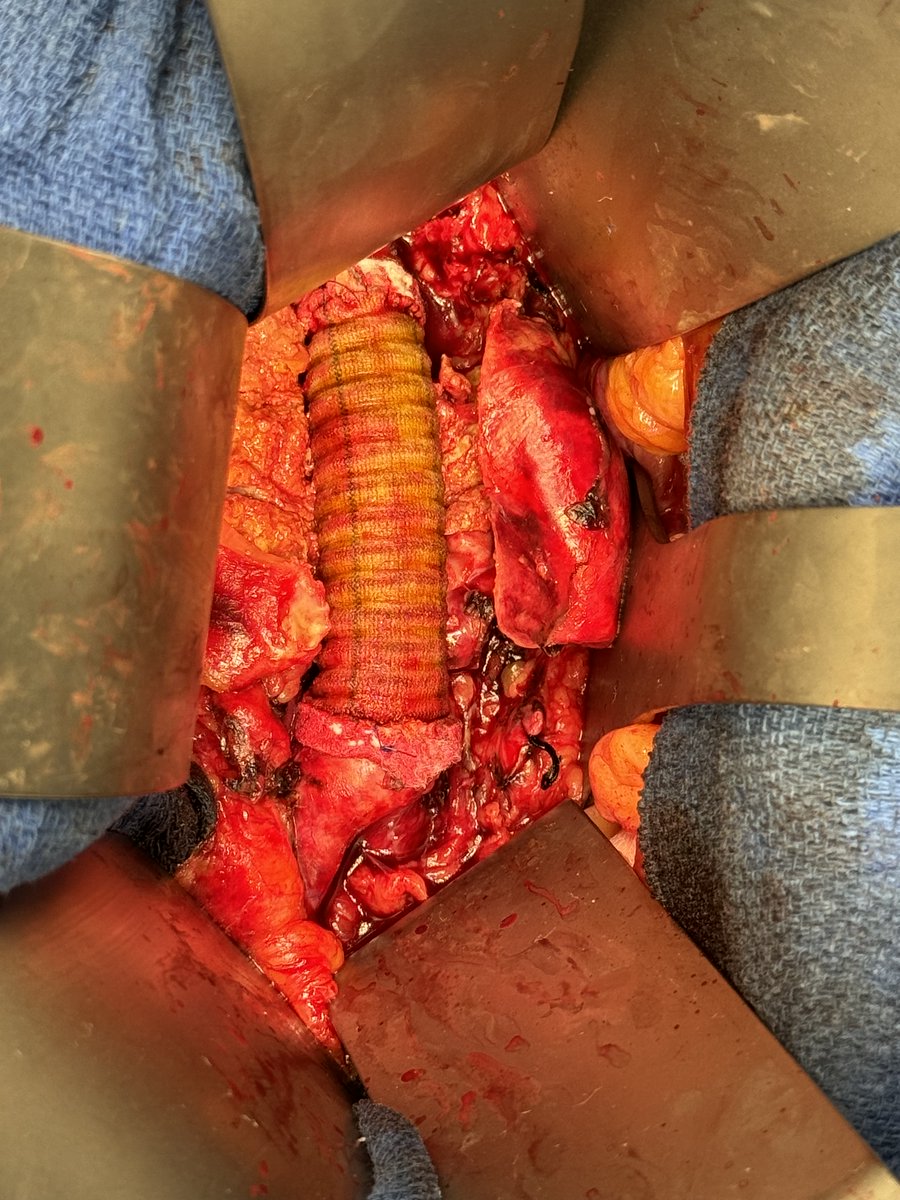 Xavier Berard tweet media