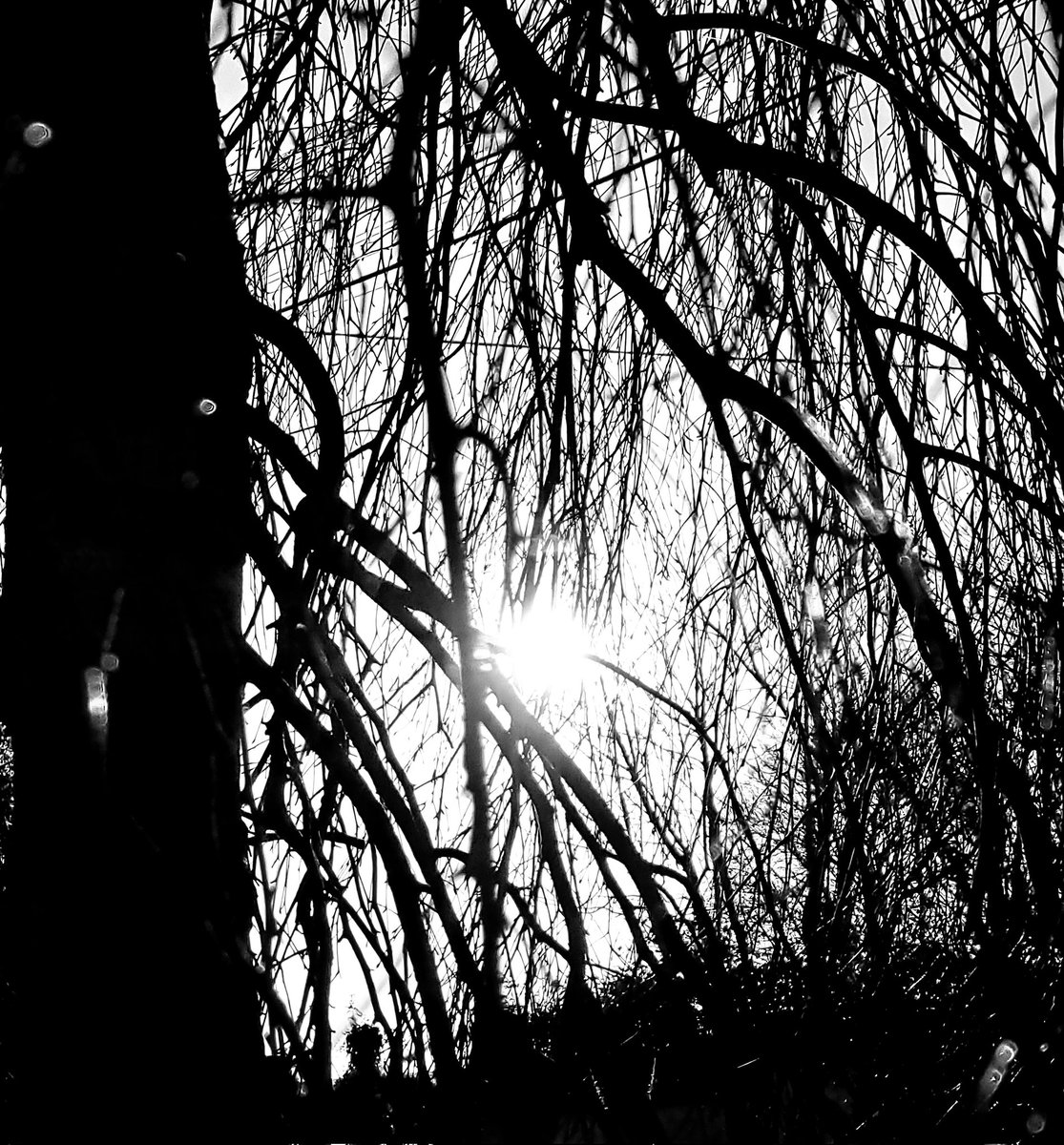 V_35_bw_'s tweet image. Adjustment, January 2024 #NewLight #dawn