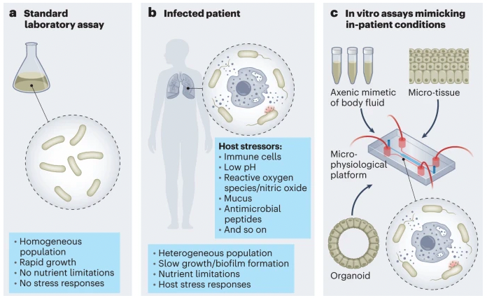 npj Antimicrobials and Resistance (@npjamr) on Twitter photo Out today! A Comment article in <a href="/NatureMicrobiol/">Nature Microbiology</a> on #antibiotic discovery using in vitro models that mimic in-patient conditions π€π
nature.com/articles/s4156β¦ Out today! A Comment article in <a href="/NatureMicrobiol/">Nature Microbiology</a> on #antibiotic discovery using in vitro models that mimic in-patient conditions π€π
nature.com/articles/s4156β¦