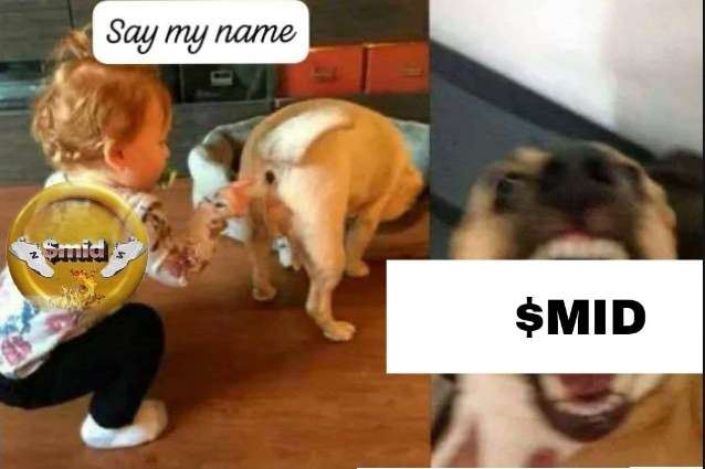 mid coin tweet media