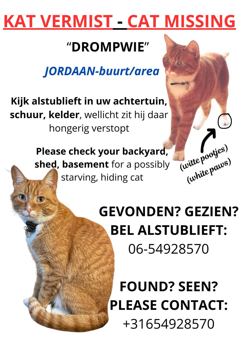 depoezenboot's tweet photo. Drompwie wordt enorm gemist. 
Helpen jullie mee zoeken en opletten? https://t.co/lcOhWFntNr