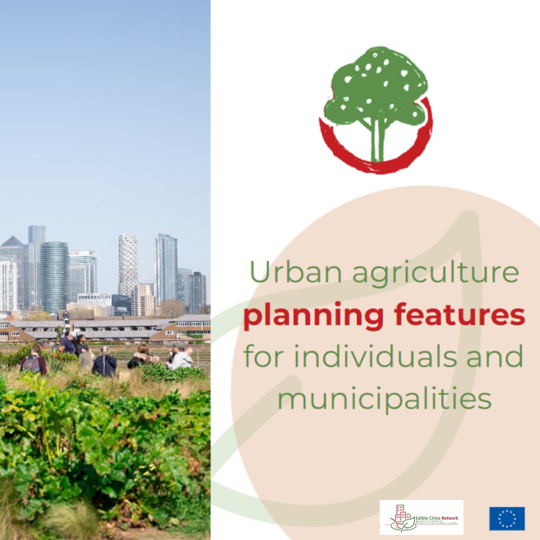 🌆 Elevate Urban Agriculture Planning with Edible Cities Network! 🏙️🌱 🌇 Design Solutions: Gain insight into crafting solutions at both individual and city scales. 🏗️💡 Join us on our platform ( ediblecitiesnetwork.com )and shape a greener urban future! 🌿🌍 #EdibleCities