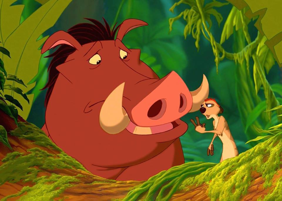 تيمون tweet media