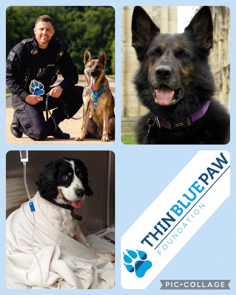 Our chosen charity this year is:

The Thin Blue Paw Foundation - This is a national dog welfare charity which protects, celebrates and rehabilitates both serving and retired police dogs from across the United Kingdom.
thinbluepaw.org.uk

Teo-theatre.org.uk/book
